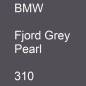 Preview: BMW, Fjord Grey Pearl, 310.